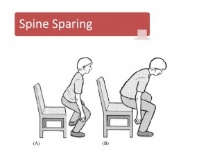 spine sparing squat