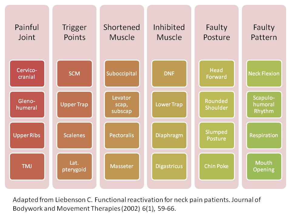 Patterns of neck pain syndromes