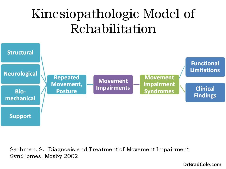 kinesiopathologic model