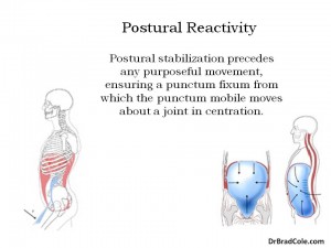 postural reactivity